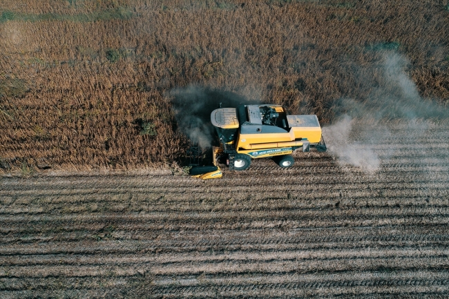 Soya verimi ve fiyatıyla çiftçiyi sevindirdi
